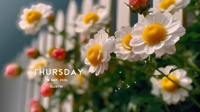 清新护眼小白花