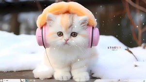 可爱的小猫