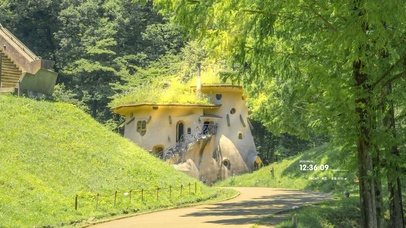 4K 护眼治愈森林小路