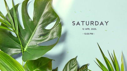 小清新绿植桌面