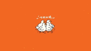 萌鸭的疑惑——咋肥四鸭