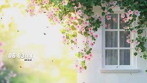 护眼花景