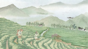 茶园望舒