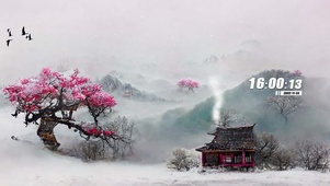 风雪梅花