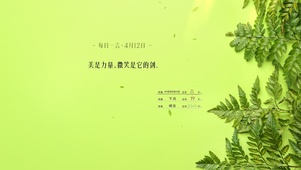 简约系护眼绿植壁纸