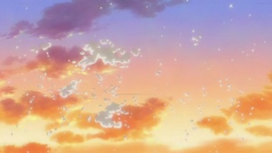 毛球星空