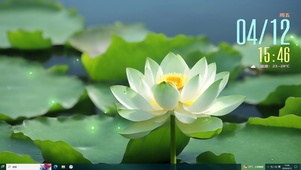 清新荷花