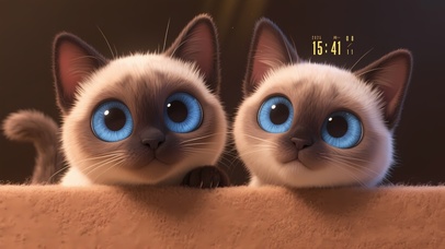 小煤球两只黑猫