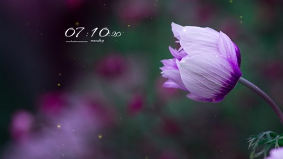 4k简约唯美系列