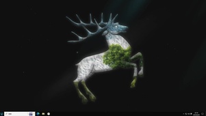 见者好运—【主题桌面】