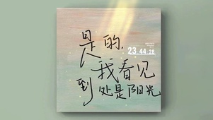 4K 是的 我看见到处是阳光