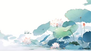 唯美 禅意荷花	