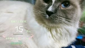 康米的日常