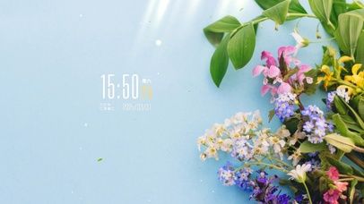 简约小清新花草桌面