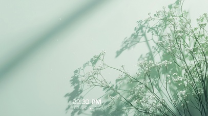 简约蒲公英壁纸