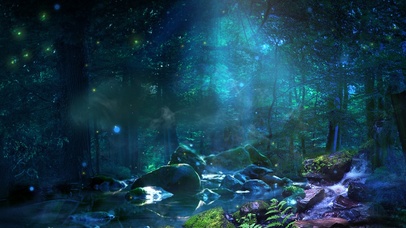 立夏治愈唯美森林夜晚