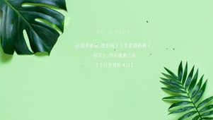 简约清新壁纸