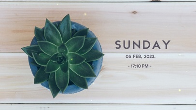 4k绿植简约ins风格桌面