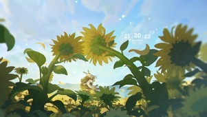 向日葵的夏天