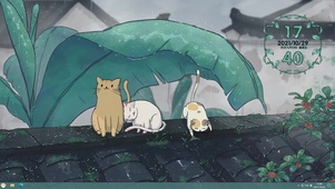 雨中猫咪