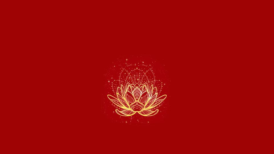 4K 佛系 禅意 金色莲花