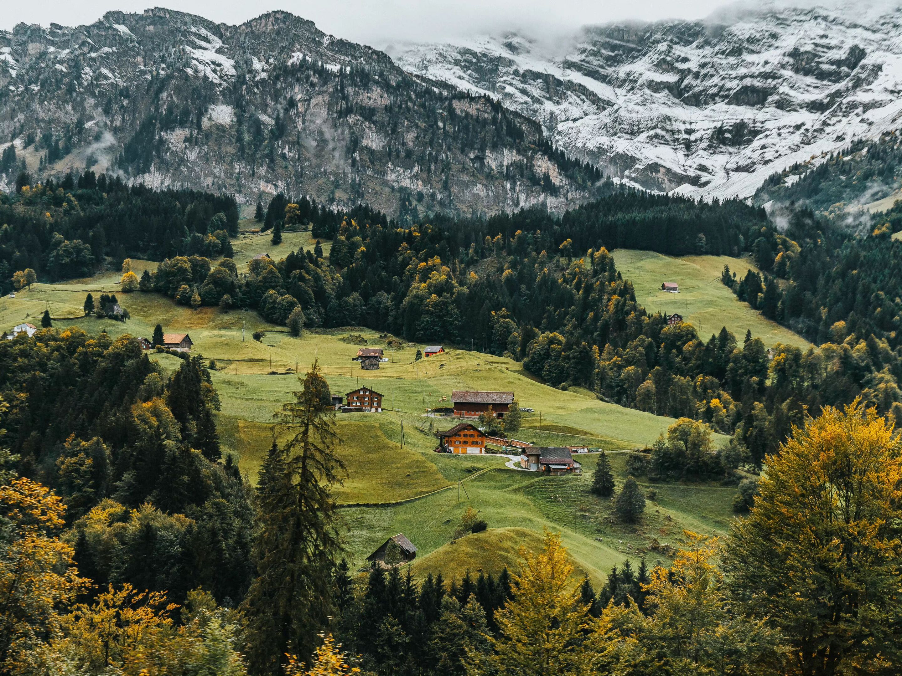 绿(风景静态壁纸) - 静态壁纸下载 - 元气壁纸