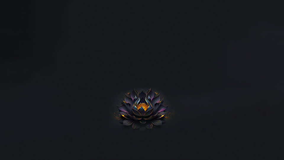 4k 佛系 紫色莲花