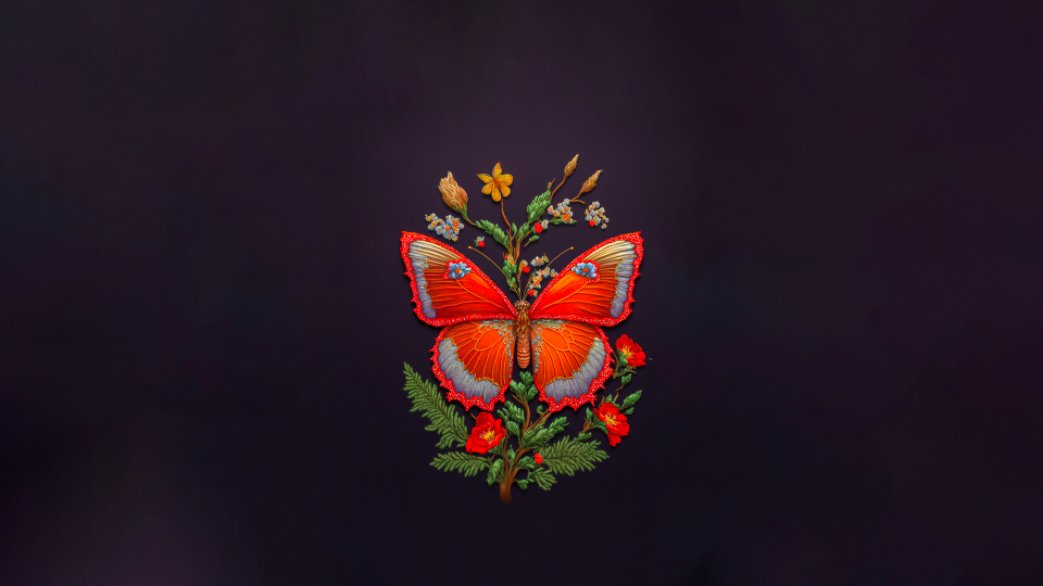 蝴蝶 4K 唯美蝴蝶