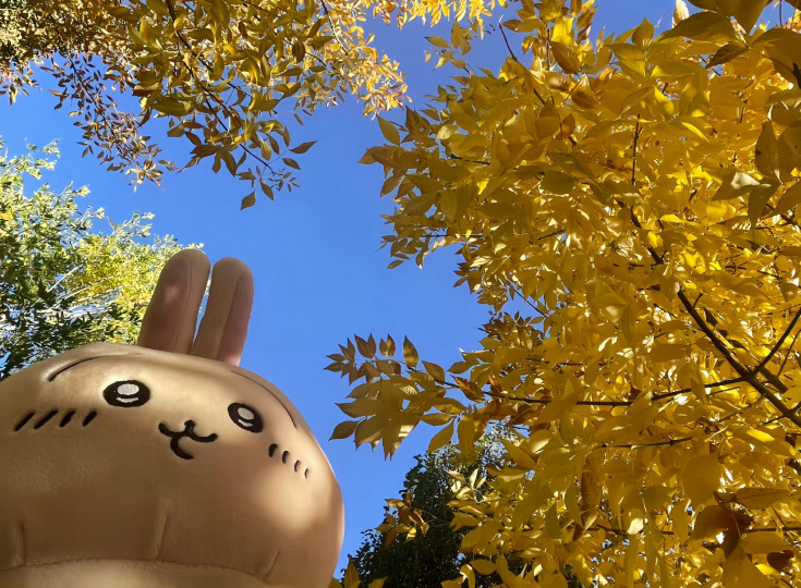 秋天