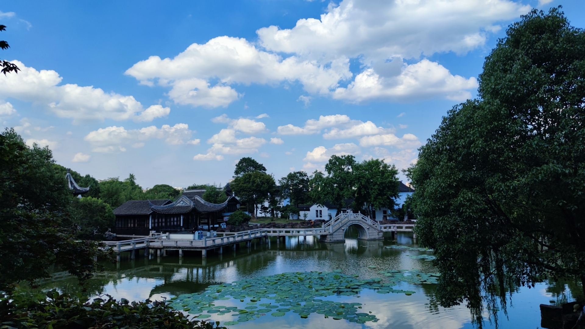 晴天的中式园林水景，湖面浮满翠绿睡莲叶，石拱桥与临湖古亭倒映水中，天空飘着大朵白云。
