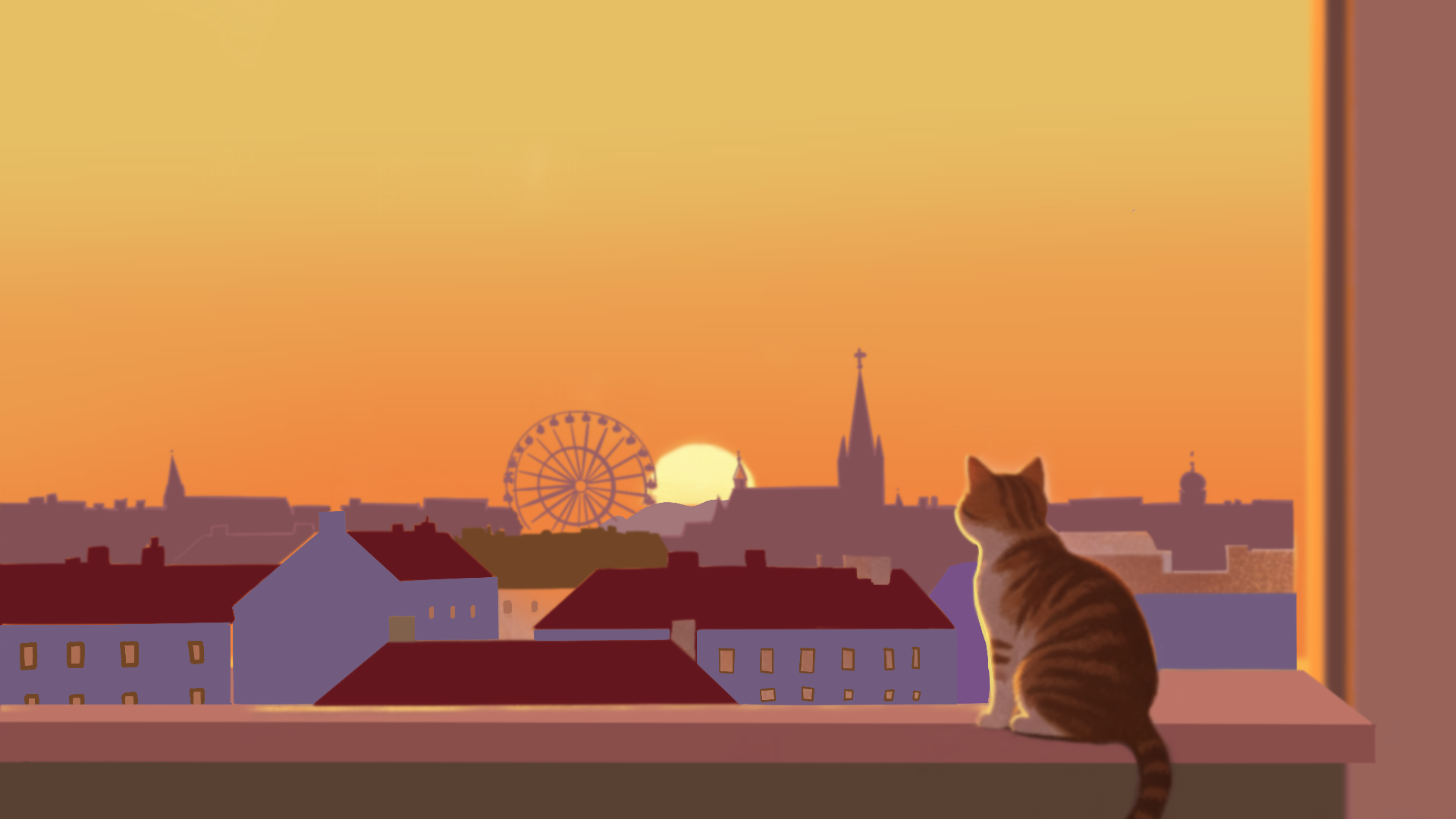 猫咪守望