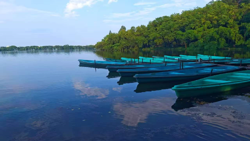 一湖清宁
