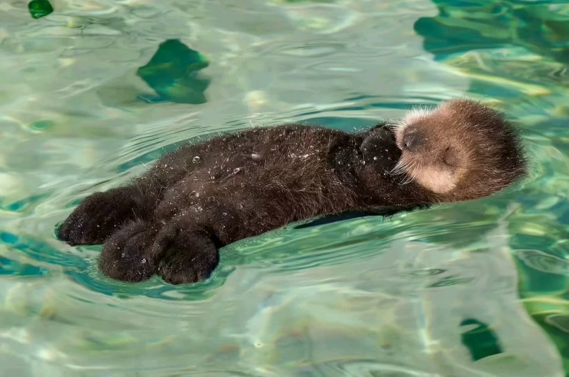 水