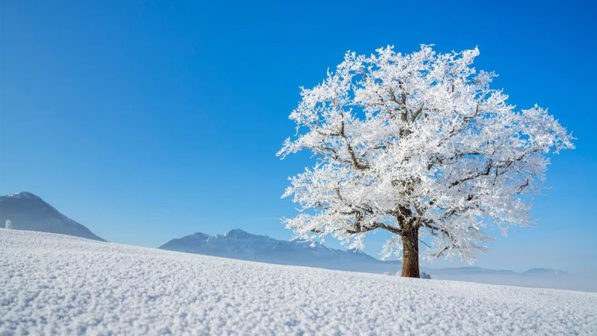 风景雪地天空雪景唯美山川