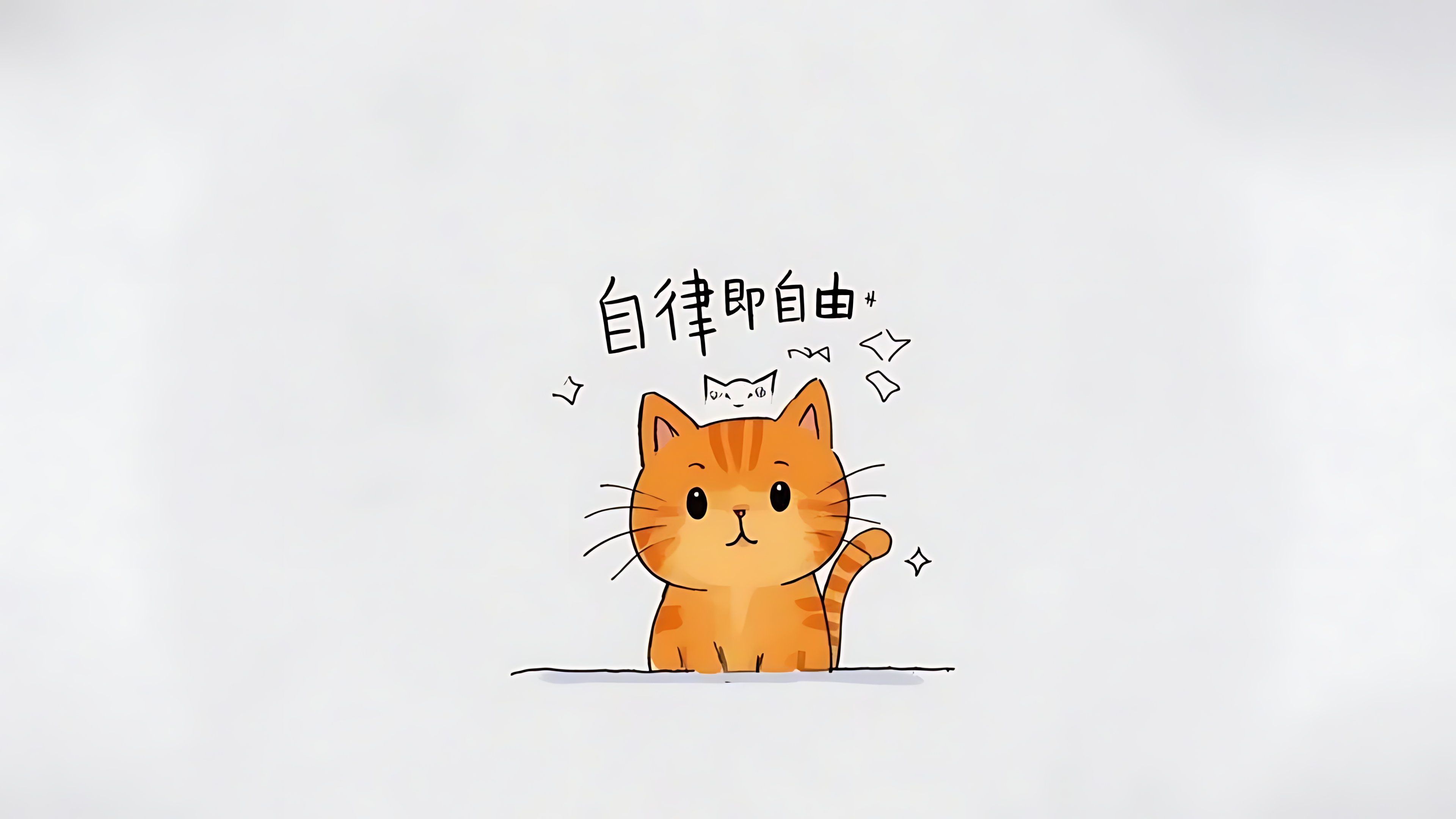 橘猫（自律即自由）