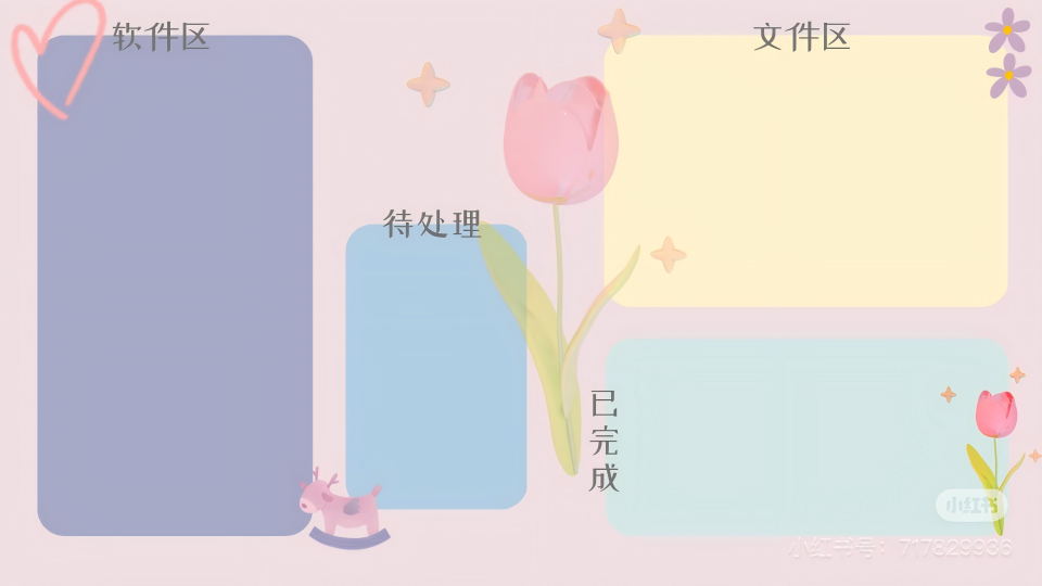 郁金香-小红书