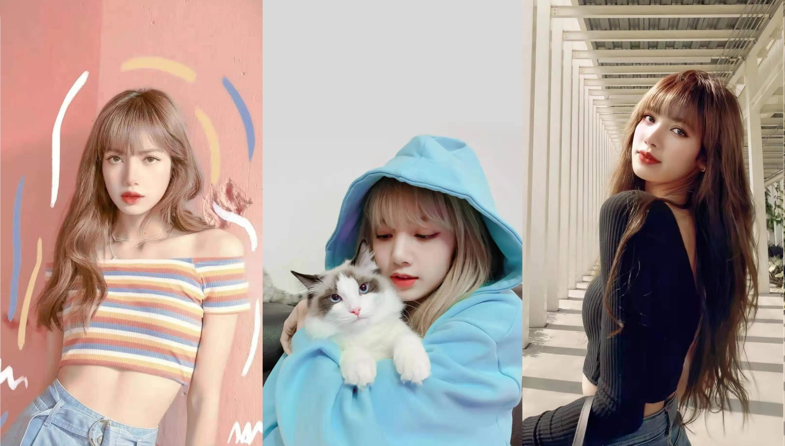 lisa超甜壁纸