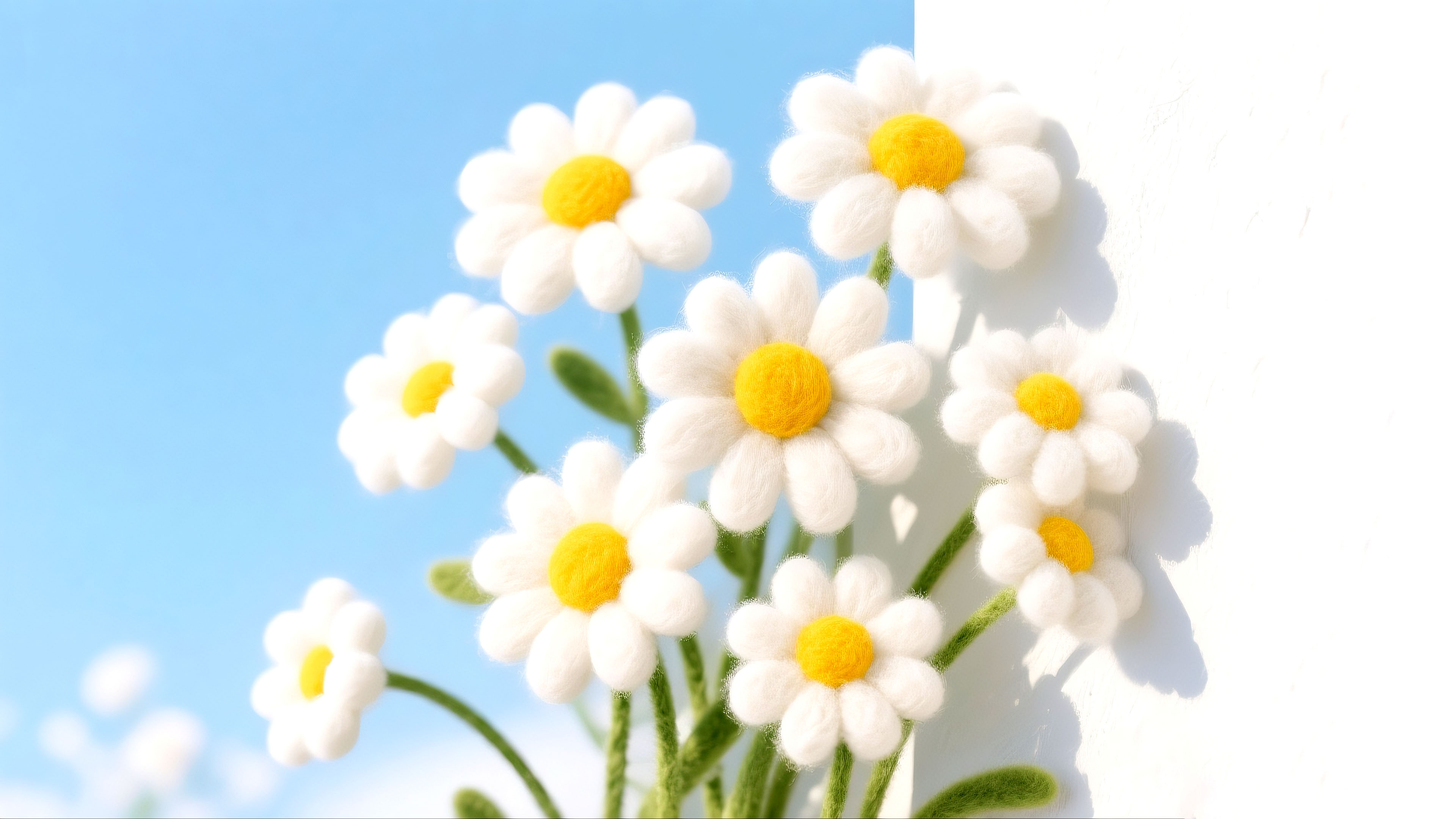 雏菊花束