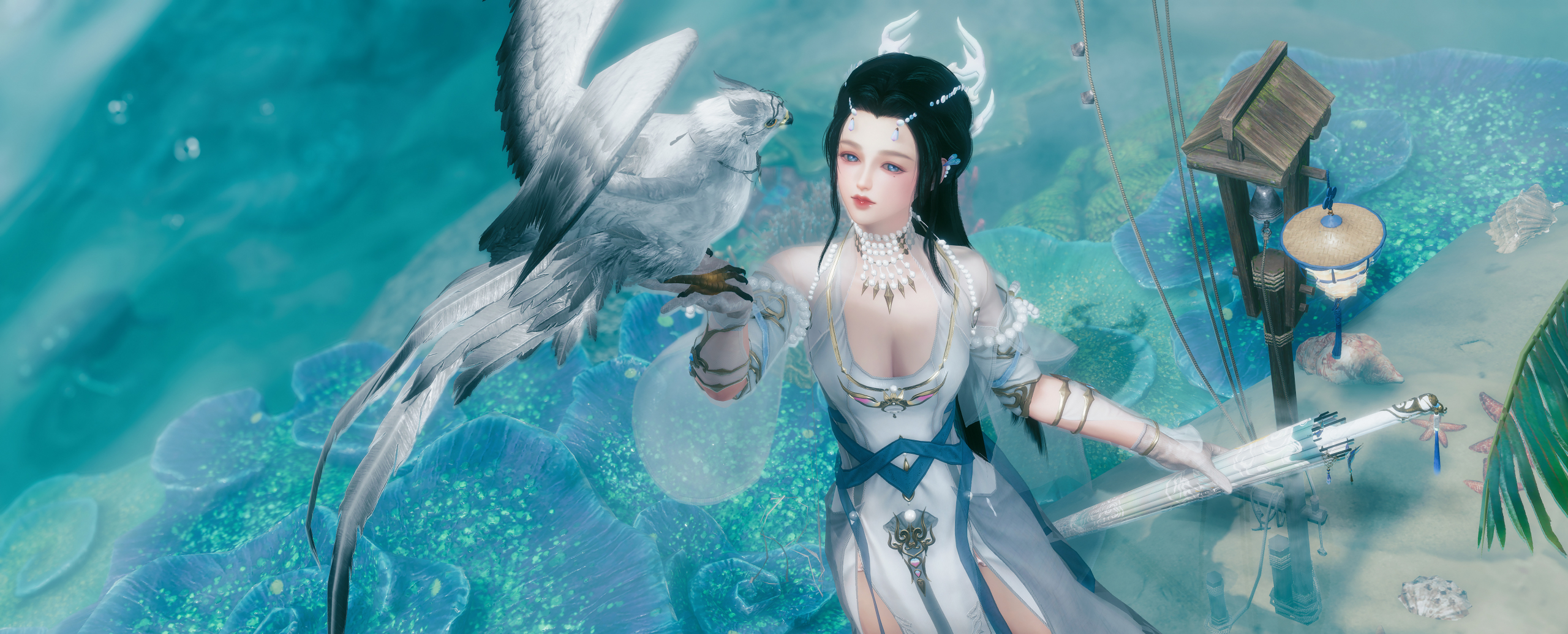 全门派成女蓬莱