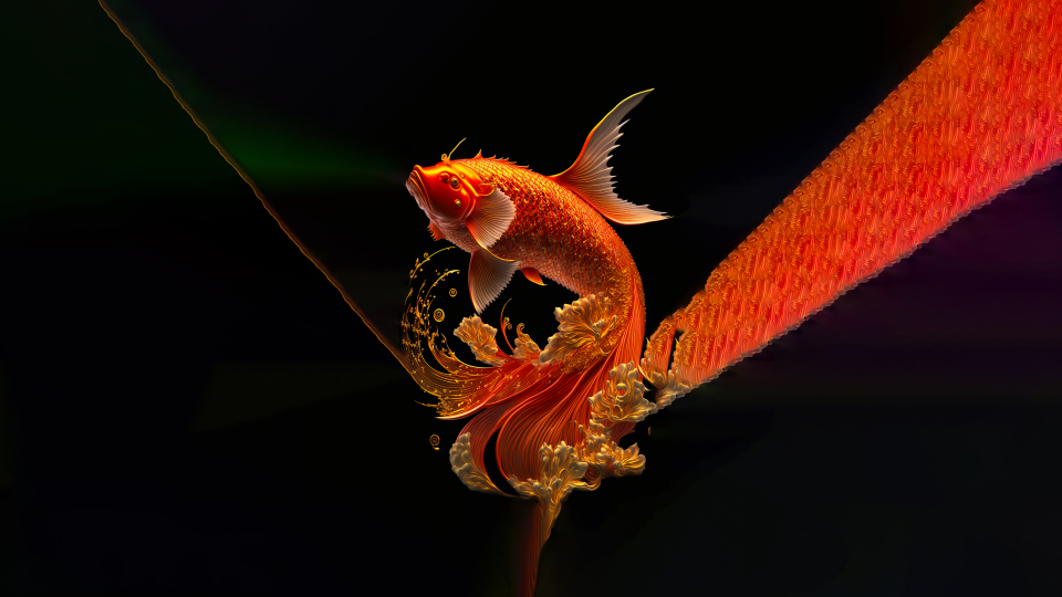 好运锦鲤 4K 红锦鲤