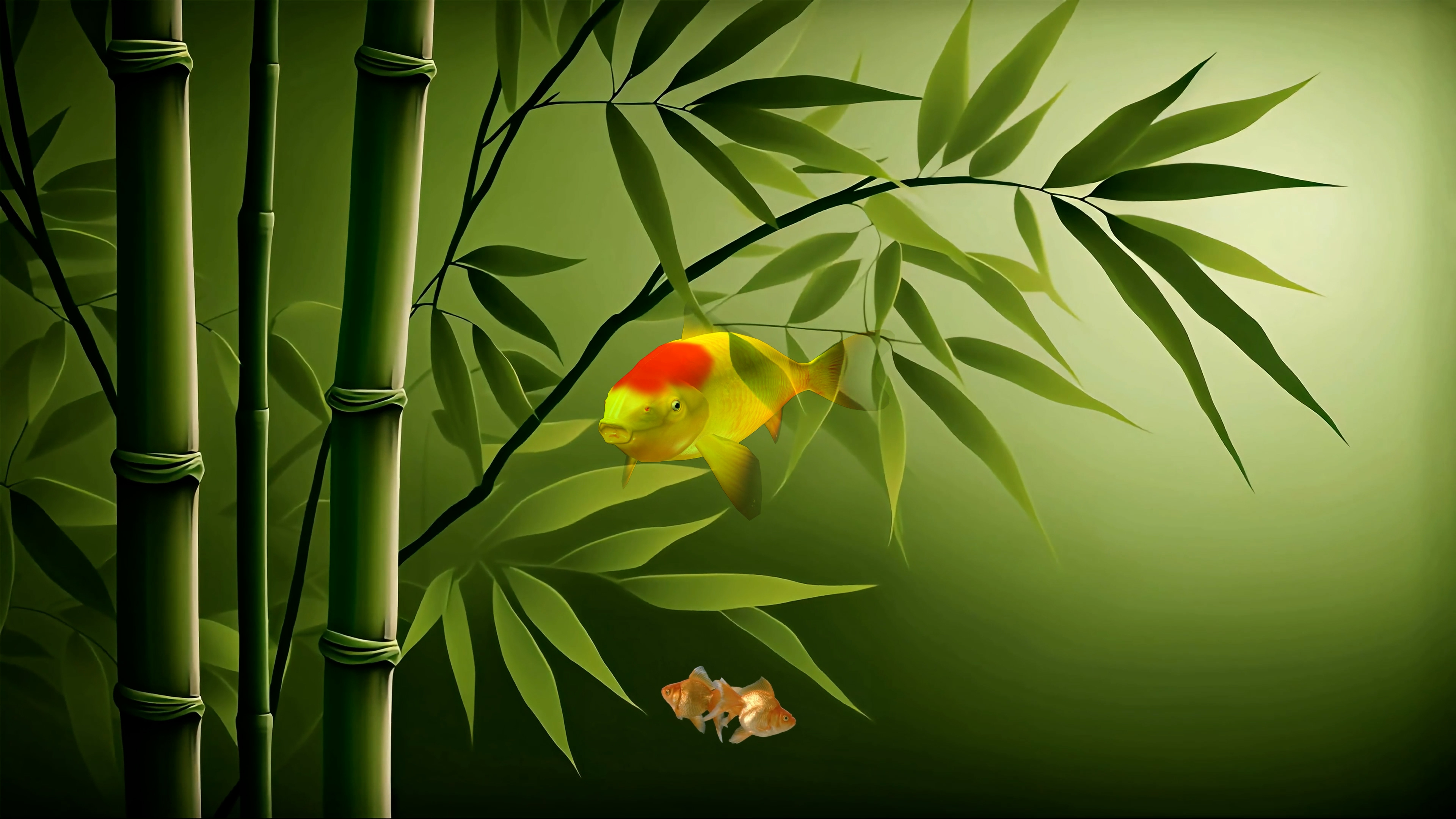 竹报平安 好运锦鲤 4K
