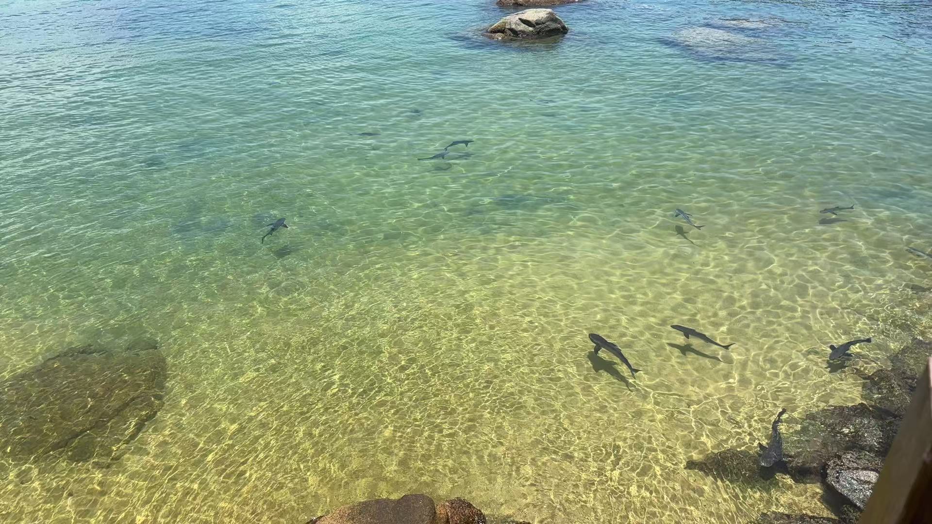  玻璃海