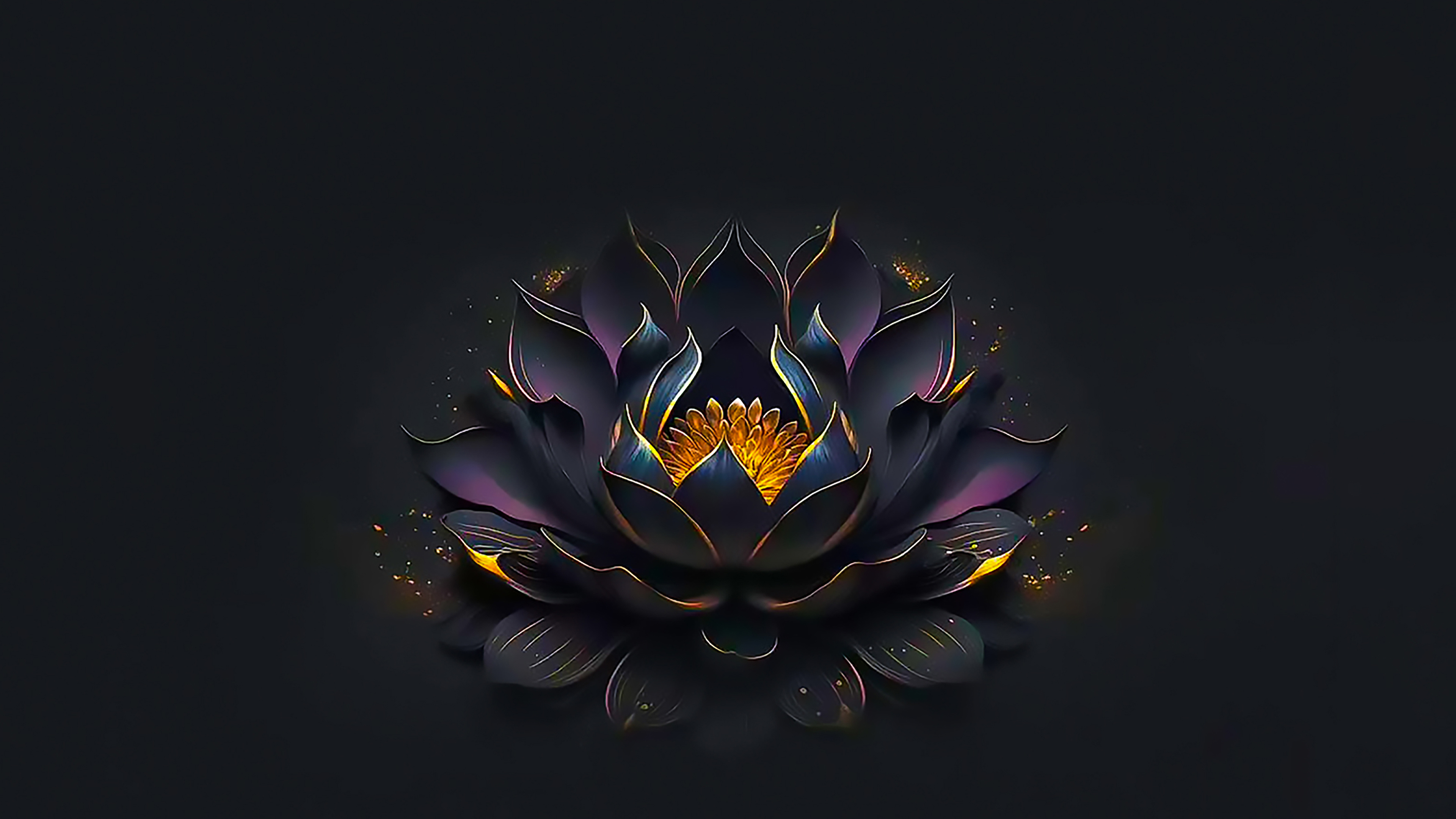 4K 佛系 紫色大莲花