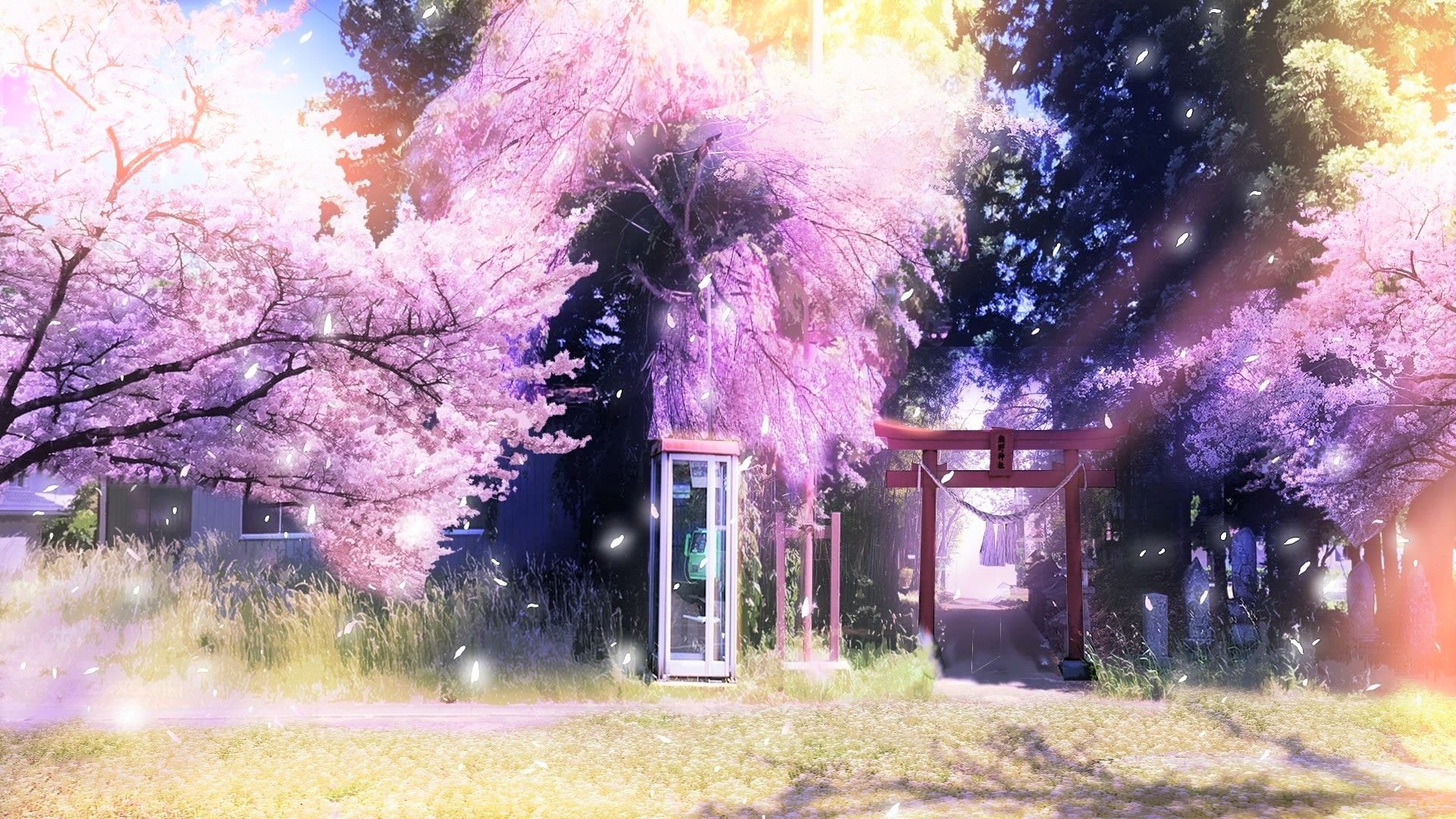 69m上传时间:2021-05-08壁纸标签:梦幻君壁纸封面图樱花壁纸于2021-05