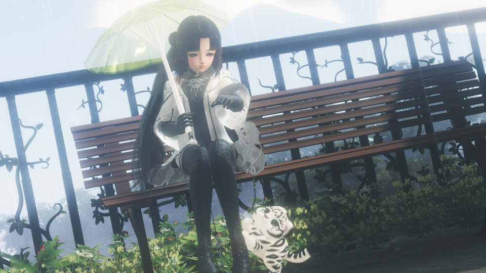 逗猫暖