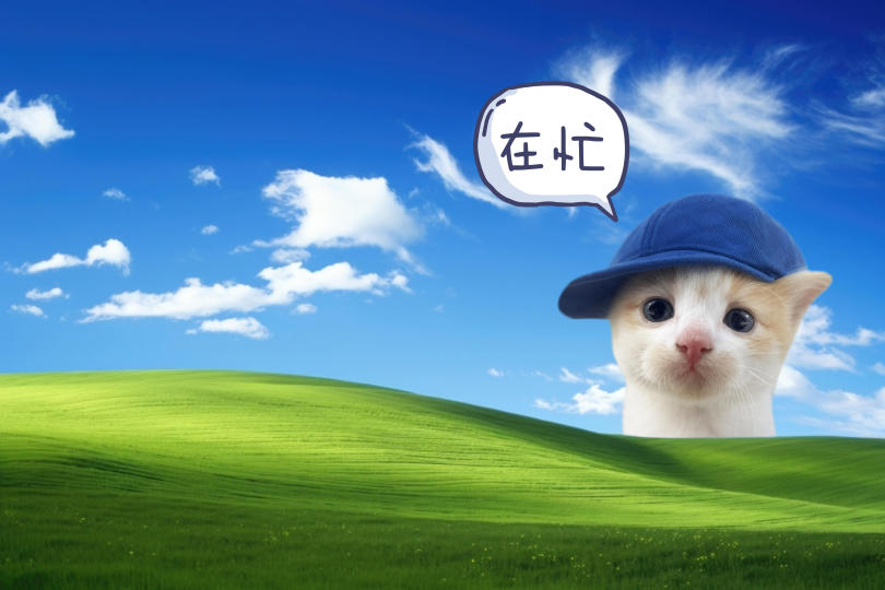 小猫