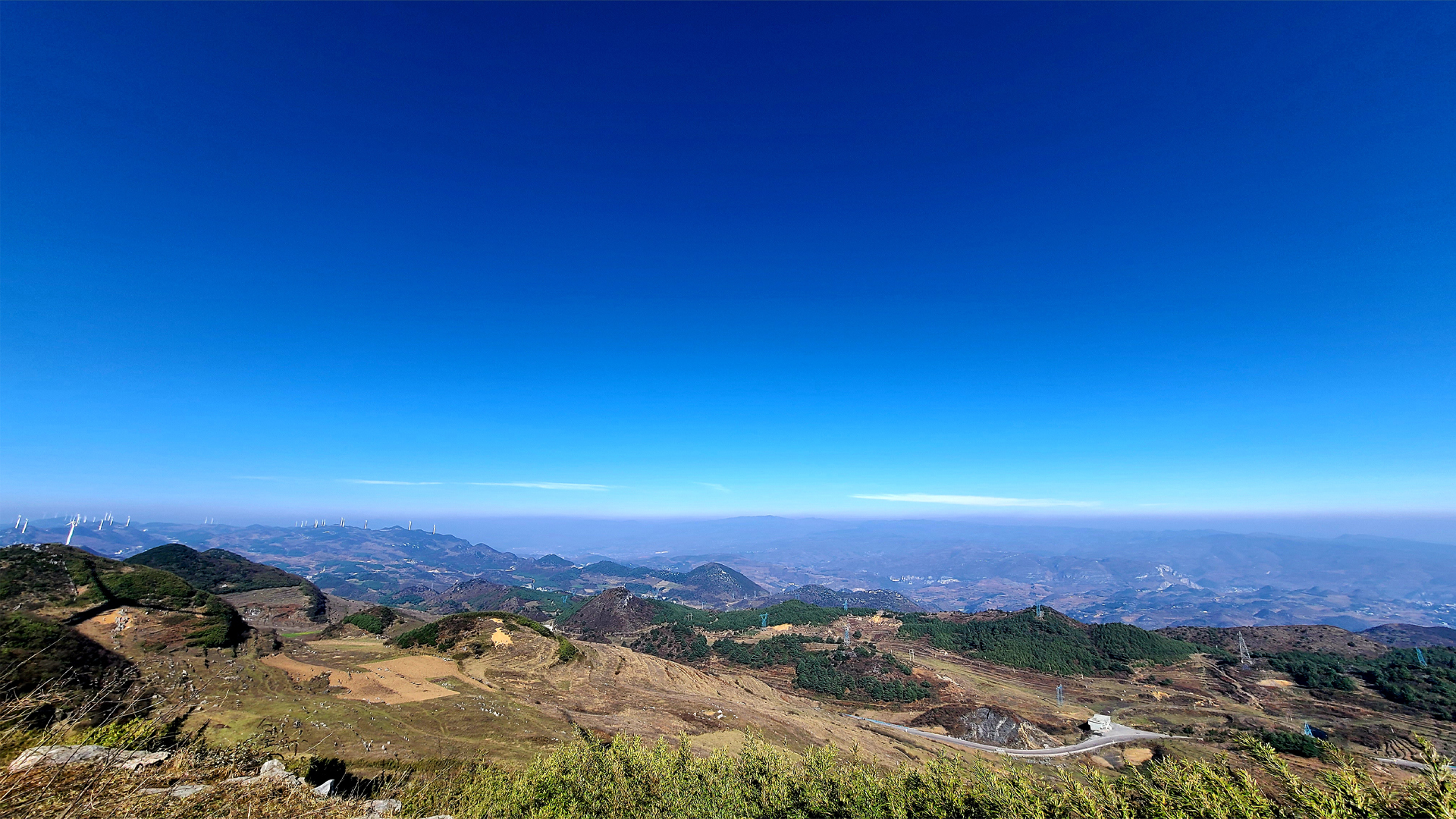 蓝天白云树林草地风景大片壁纸