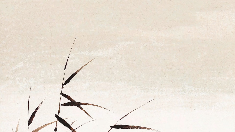 水墨留白｜芦苇深处 一鹤远行