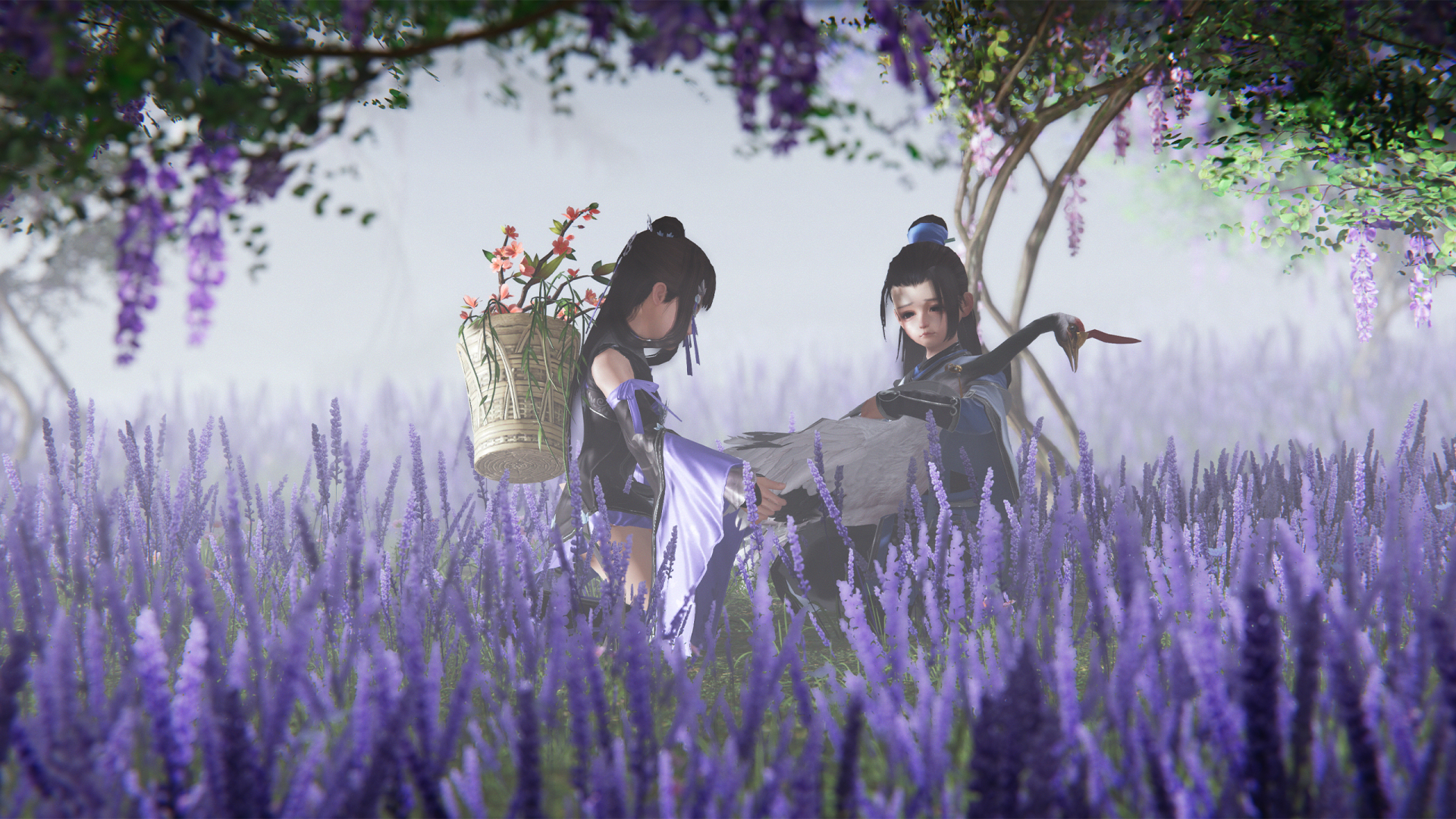 初见-花花与咩剑网3壁纸大赛壁纸图片_桌面壁纸图片_壁纸下载-元气