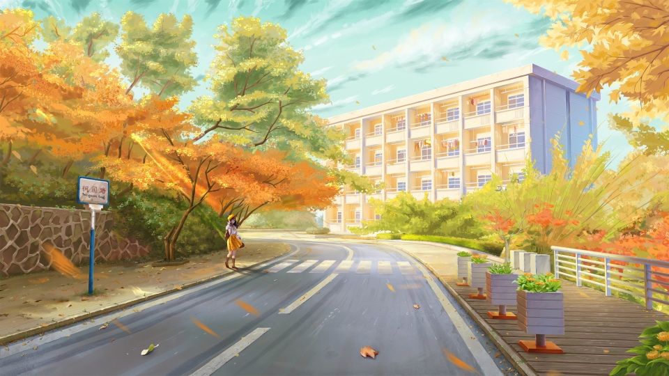 枫园路的女孩